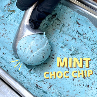 mint choc chip - มิ้นท์ช็อคชิพ (ไอศครีมขนาด 400 g.) daydream