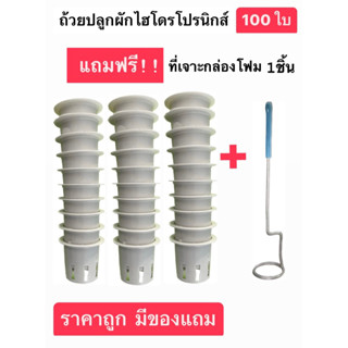 ถ้วยปลูกขาวไฮโดรโปนิกส์ 100 ใบ!!! ฟรีที่เจาะ​ 1