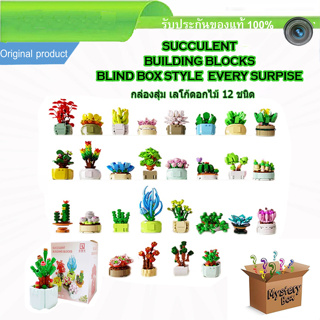 เลโก้ดอกไม้ Succulent Building Blocks Blind Box Style Every Surpise กล่องสุ่ม เลโก้ ดอกไม้ 28 ชนิด ตกแต่งภายในบ้าน