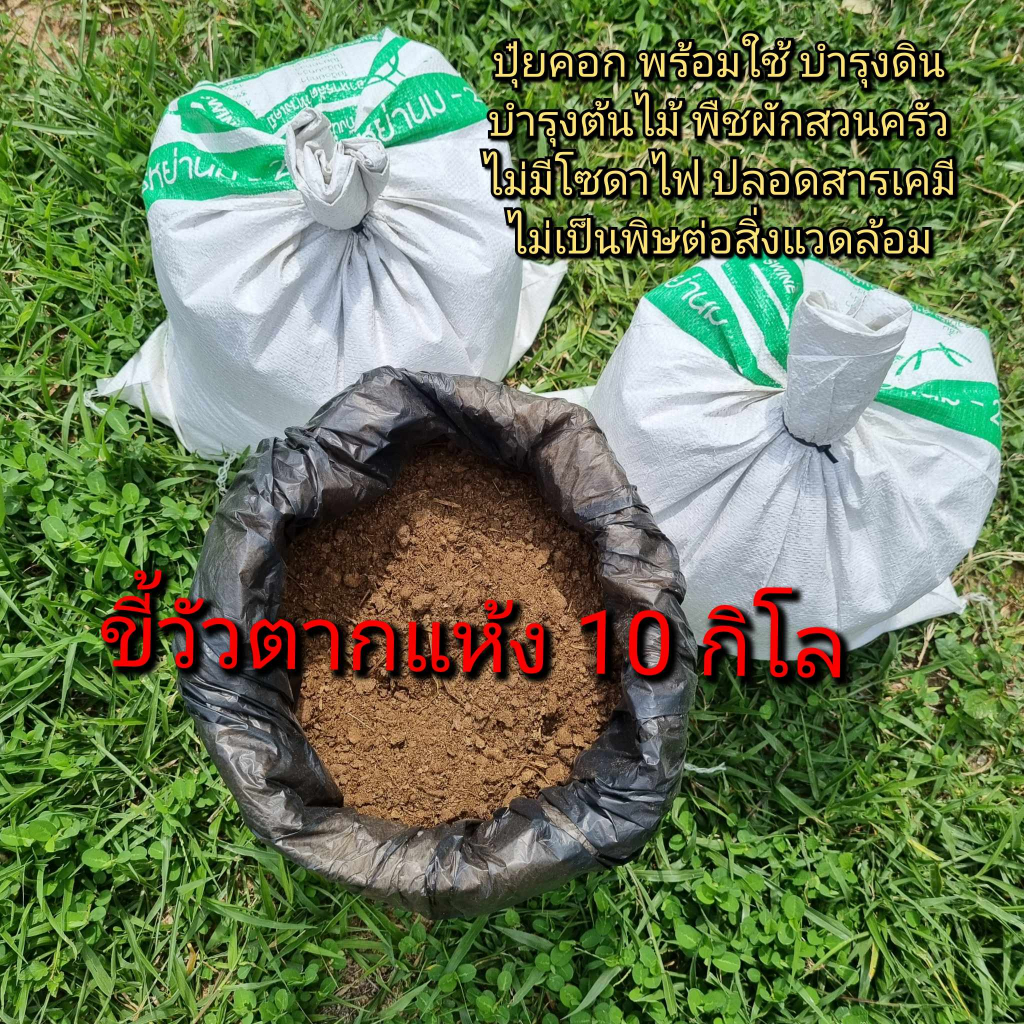 ขี้วัว10กิโล ขี้วัวตากแห้งพร้อมใช้ ปุ๋ยคอกขี้วัว ขี้วัวแห้งไม่ผสมดิน ปุ๋ยคอก ปุ๋ยอินทรีย์