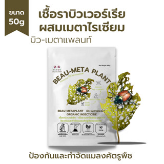 บิวเวอร์เรีย ผสม เมธาไรเซียม (50g) กำจัดแมลงศัตรูพืชทุกชนิด เพาะเชื้อจากห้องLAB100% ออร์แกนิคแท้ ปลอดภัย