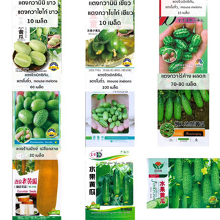 เมล็ด แตงกวา แตงกวาจิ๋ว เม็กซิกัน ( Cucumber seed )  แตงกวามินิ/ไข่ไก่  แตงกวาไร้ค้าง  แตงกวาญี่ปุ่น แตงกวาดัช แตงร้านยักษ์เปลือกลาย