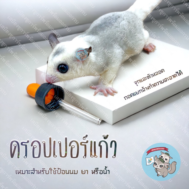 V ( ดรอปเปอร์แก้ว ) GLASS DROPPER ดรอปเปอร์ หลอดป้อน หลอดป้อนนม นม นมแพะ สัตว์เลี้ยง ชูการ์ กระรอก แฮมสเตอร์