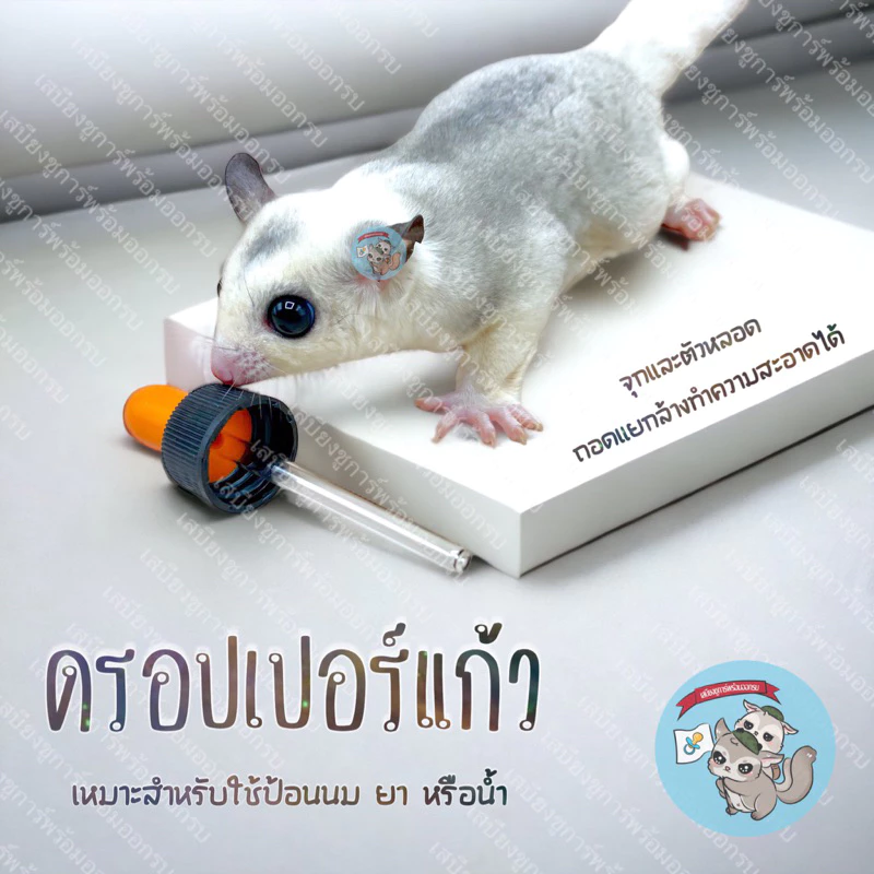V ( ดรอปเปอร์แก้ว ) GLASS DROPPER ดรอปเปอร์ หลอดป้อน หลอดป้อนนม นม นมแพะ สัตว์เลี้ยง ชูการ์ กระรอก แฮมสเตอร์