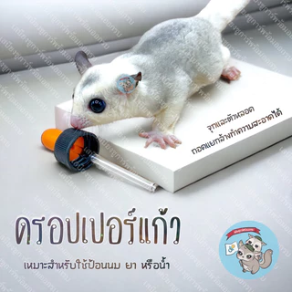 V ( ดรอปเปอร์แก้ว ) GLASS DROPPER ดรอปเปอร์ หลอดป้อน หลอดป้อนนม นม นมแพะ สัตว์เลี้ยง ชูการ์ กระรอก แฮมสเตอร์
