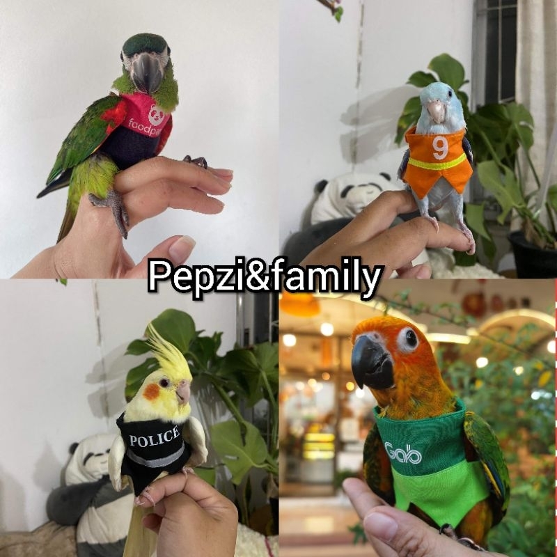 🌟🌟ถูกที่สุด งานสวย  ตรงปก🌟🌟เสื้อนกแก้ว​ ซันคอ​นัวร์​ ฟอ​พัส​ เลิฟเบิร์ด​ คอก​คา​เทล​ คิ​มสัน​