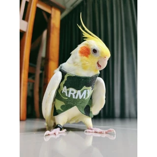 🌟🌟ถูกที่สุด งานสวย ตรงปก🌟🌟เสื้อนกแก้ว​ ซันคอ​นัวร์​ ฟอ​พัส​ เลิฟเบิร์ด​ คอก​คา​เทล​ คิ​มสัน​