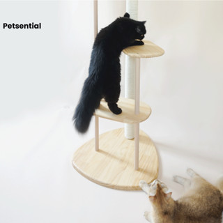 Petsential คอนโดแมว รุ่นเอกมัย