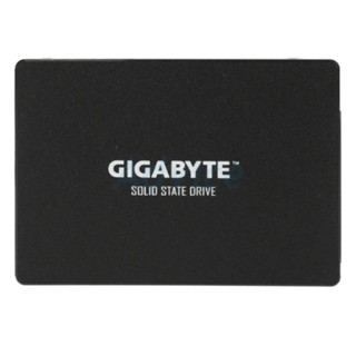 256 GB SSD SATA GIGABYTE (GSTFS31256GTND-1.1)