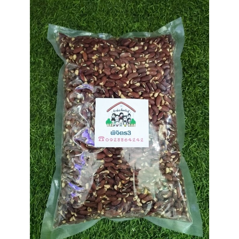 เมล็ดพันธุ์ถั่วพิจิตร3 บรรจุ 500 กรัม ทนไวรัส