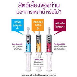 V-Four ของใหม่(ทุกสูตร Exp.2024)อาหารเสริมวิตามินสูตรเข้มข้น บำรุงสุขภาพ สำหรับสุนัขและแมวทุกวัย