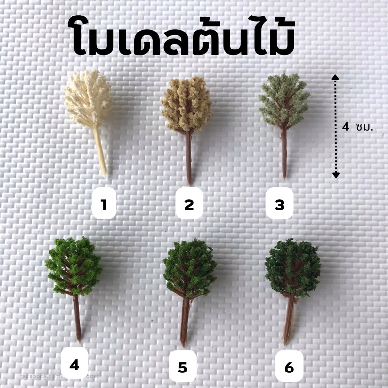 โมเดลต้นไม้ สีขาว สีเขียว สเกล 1:200 - 1:150 สูง 4 ซม. ต้นไม้จิ๋ว โมเดลสถาปัตย์ สวนขวด โมเดล รถไฟ