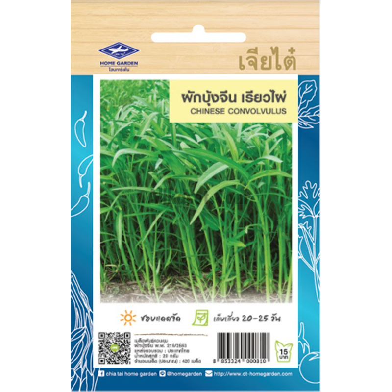 เมล็ดพันธ์ ผักบุ้งจีนเรียวไผ่ เจียไต๋