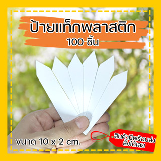 ป้ายแท็กพลาสติก สีขาว ( 100 ชิ้น ) ขนาด 10x2 cm. ป้ายแท็กต้นไม้ กระบองเพชร เขียนชื่อต้นไม้ ป้ายชื่อต้นไม้