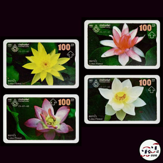 (ของสะสม) บัตรโทรศัพท์เก่า Phone Card ชุด ดอกบัว