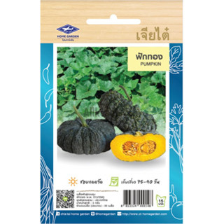 เมล็ดพันธ์ ฟักทอง เจียไต่