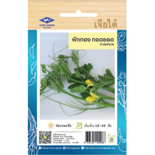 เมล็ดพันธ์ ฟักทอง ทอดยอด เจียไต๋