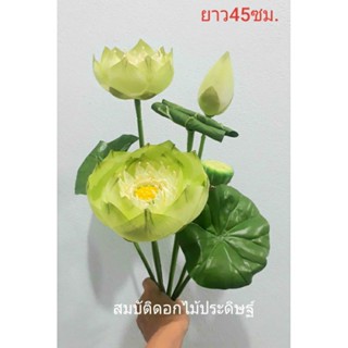 ดอกบัว  ดอกใหญ่เกรดสวยเหมือนจริงยาว45-59ซม.