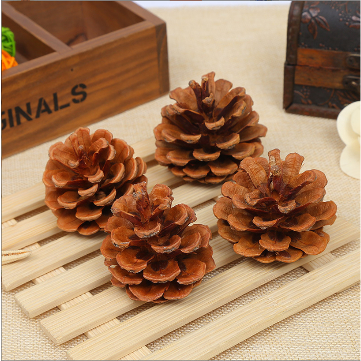 ( พร้อมส่ง) ลูกสนแห้ง ลูกสนแท้ ลูกสนตกแต่ง ของตกแต่งบ้าน ส่งไว