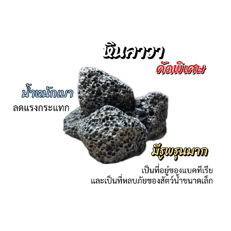 หินลาวา Layout แบบคัดพิเศษ เฉพาะก้อนที่มีรูพรุนมาก