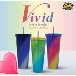 แก้วสเตนเลส เก็บความเย็น Vivid Ombre Tumbler จาก อเมซอน