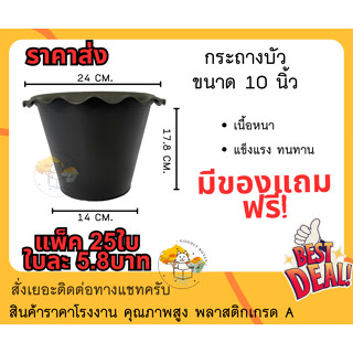 (แพ็ค25ใบ) กระถางบัวพลาสติก 10นิ้ว (ราคาส่ง) กระถางบัว กระถางพลาสติก กระถางปลูกบัว กระถางปลูกผัก กระถางชวนชม กระถาง