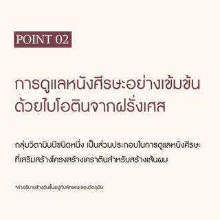 [สี Dark Brown - รีฟิล 4 ซอง] SEEDBEE Water Coloring น้ำย้อมผม ออร์แกนิค ปิดผมขาว