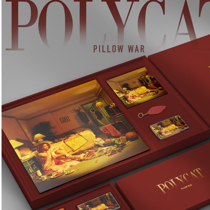 แผ่นเสียง LP + CD + เทป + พวกกุญแจ Boxset POLYCAT อัลบั้ม PILLOW WAR + ลายเซ็น แผ่นใหม่ ซีล