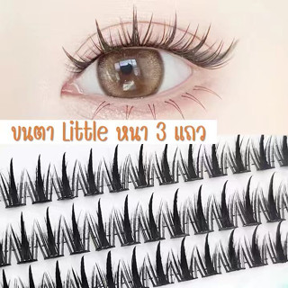 ขนตาปลอม รุ่น Little Devil หนา 5 แถว 10mm 11mm 12mm