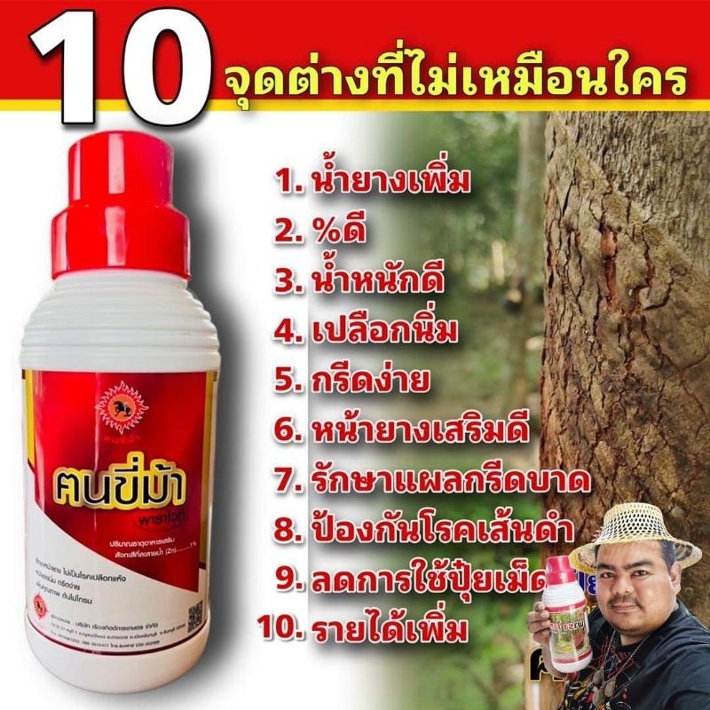 ฅนขี่ม้าพาราไวท์(ปุ๋ยน้ำ)ใช้กับต้นยางพารา หนุ่มทองแดง แหลงไหรให้เทือน