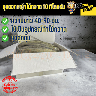 ชุดดอกหญ้า 10 กิโลกรัม ดอกหญ้า ดอกแขมใหม่ สำหรับงานฝีมือ ยาวสวย ชุดสร้างอาชีพ Zogzaghome