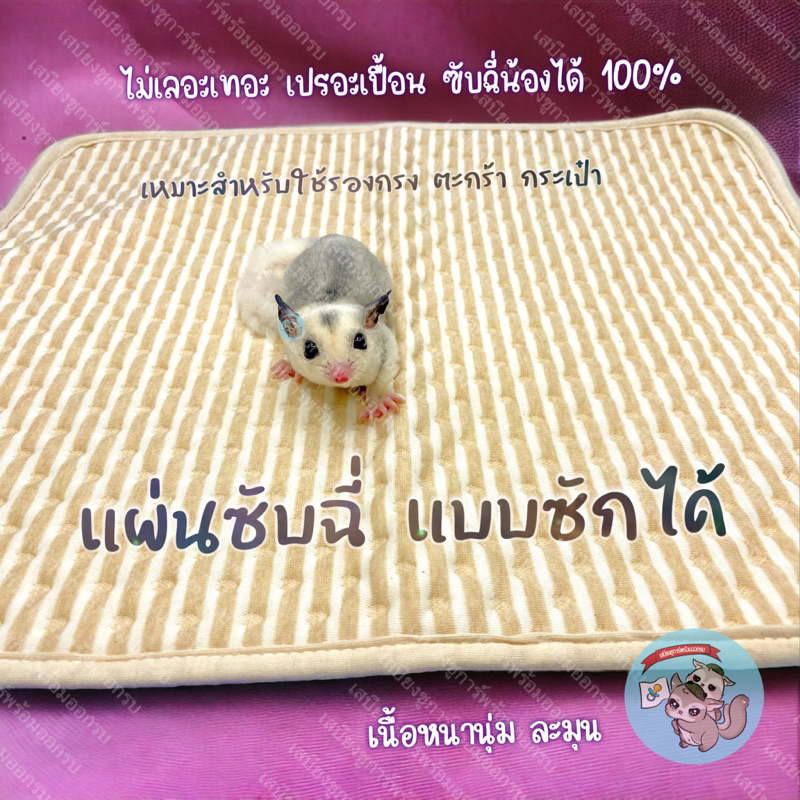 V ( ผ้าซับฉี่ ซักได้ ) WASH แผ่นรองฉี่ แผ่นรองกรง แผ่นรองตะกร้า ชูการ์ เม่นแคระ บุชเบบี้ ลิงมาโมเสท แมว หมา สุนัข