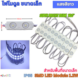 LED Module 2เม็ดไฟ สีขาว โมดูล ขนาดเล็ก 12V 1.2W 2LED เลนส์กระจายแสง ไฟป้ายอักษร ไฟงานป้าย กันน้ำ เลนส์กระจายแสง [20ตัว]