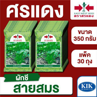 ขายส่ง เมล็ดพันธุ์ ศรแดง BIG ผักชี สายสมร ขนาด 350 กรัม (350 กรัม X 30 ถุง)