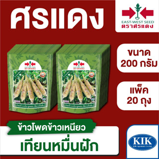 ขายส่ง เมล็ดพันธุ์ ศรแดง BIG ข้าวโพดข้าวเหนียว เทียนหมื่นฝัก ขนาด 200 กรัม (200 กรัม X 20 ถุง)