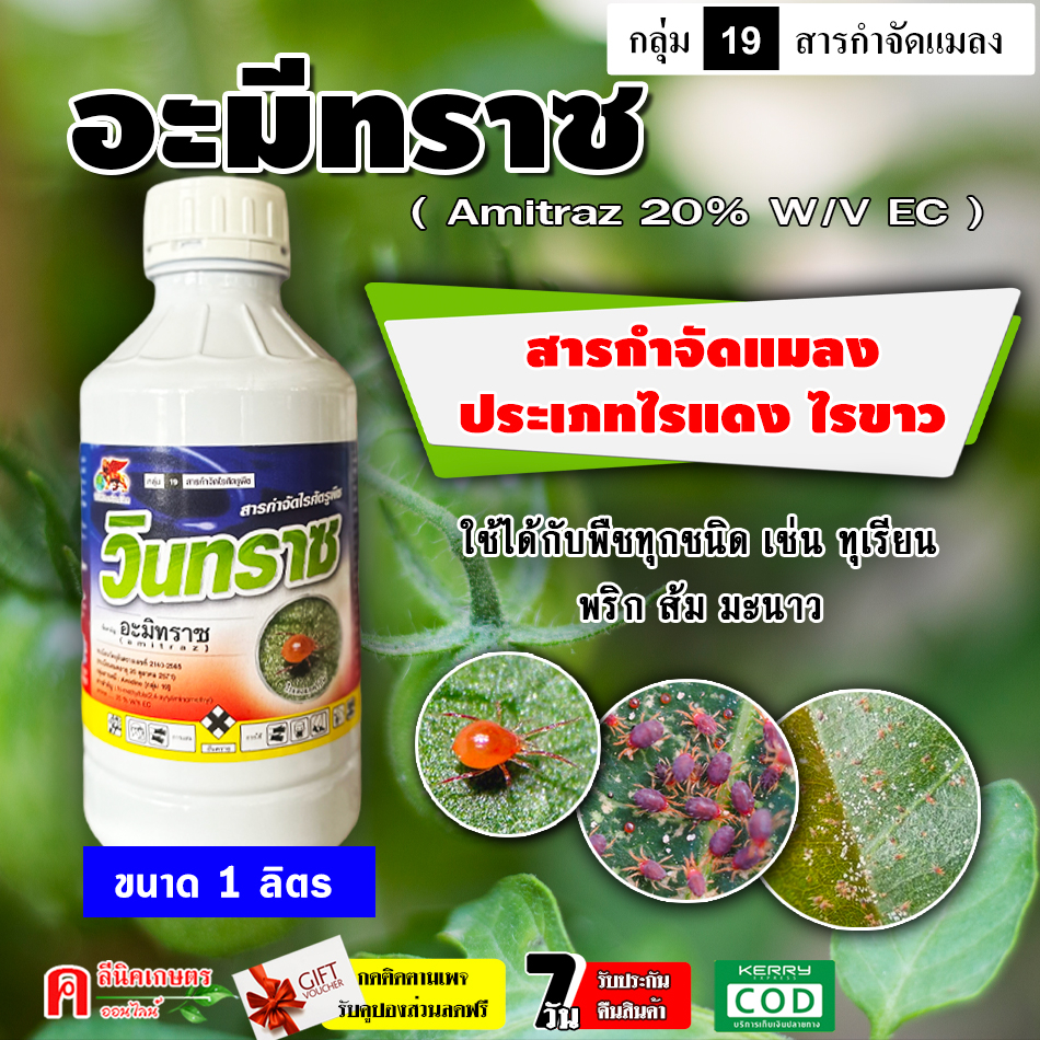 วินทราซ-อะมีทราช อามีทราซ ( 1 ลิตร ) สารป้องกันกำจัดแมลง เช่น ไร ไรแดง ไรขาว ไรสนิม ไรกำมะหยี่