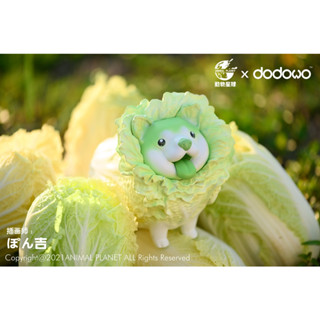 Animal Planet AP-011 : CABBAGE DOG น้องหมากระหล่ำปลี