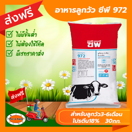 ซีพี 972 (ขนาด 30 กก.) อาหารลูกวัว ชนิดเม็ด สำหรับลูกโคอายุ 3-6 เดือน [ส่งฟรีไม่ต้องใช้โค้ด!!]
