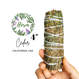 (4" นิ้ว) Cedar ซีดาร์ จุดเพื่อขจัดพลังงานไม่ดี ปรับอากาศ และเพื่อความผ่อนคลาย