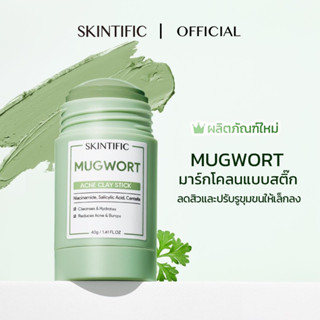 SKINTIFIC Mugwort Acne Clay Mask Stick 40g