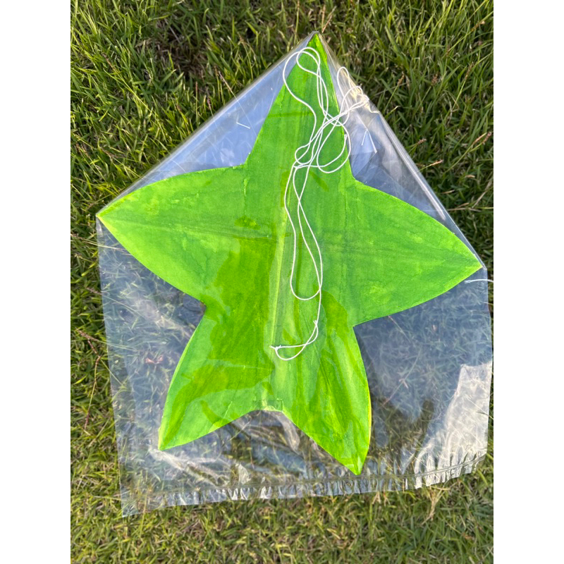 ว่าวจุฬาหลากสี ขนาด 25x25 cm จัดส่ง 4 ตัว คละสี - รูปที่ 3