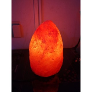 Himalaya Salt lamp โคมไฟเกลือหิมาลายา โดย สวนสนุกเคมี