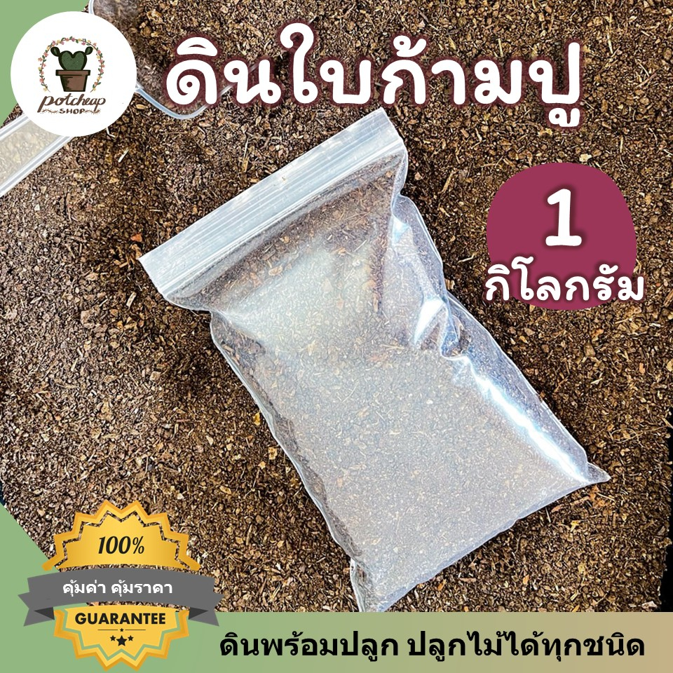 ดินหมักใบก้ามปู ร่อนละเอียด ดินพร้อมปลูก ดินใบก้ามปูหมัก ดินปลูกต้นไม้ ดินแคคตัส ดินปลูกบอนสี ดินปลูกไม้ด่างดินปลูกกัญชา