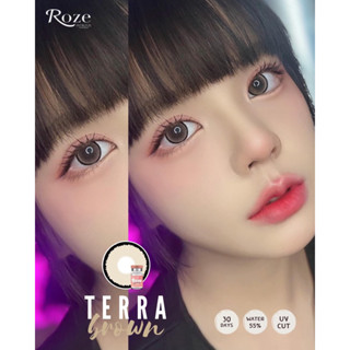 Terra brown น้ำตาลขอบตาคมหวาน 14.8