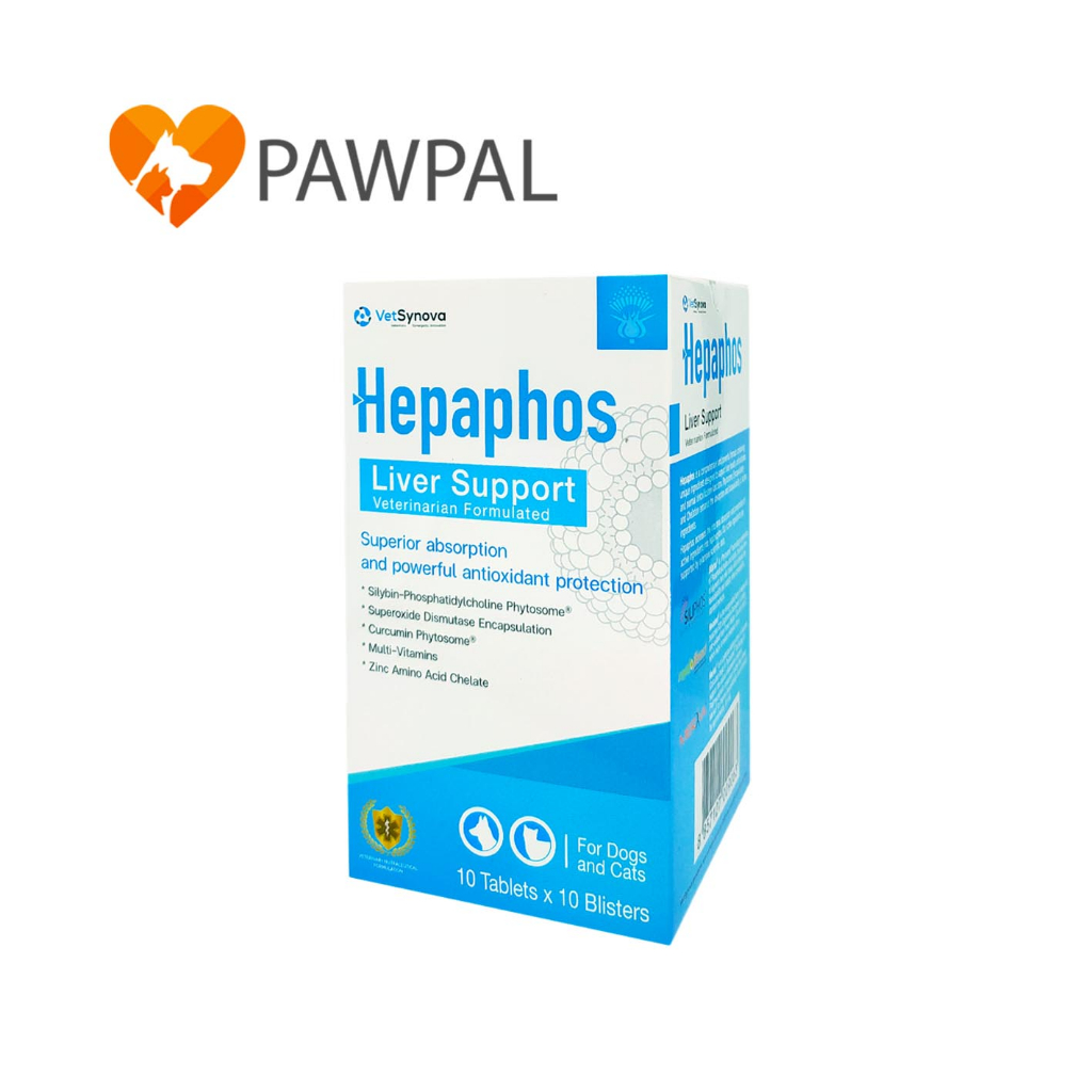 Hepaphos Liver Support (1 กล่อง 100เม็ด)🔥Exp.2027 เฮปพาฟอส วิตามิน บำรุงตับ สุนัข แมว