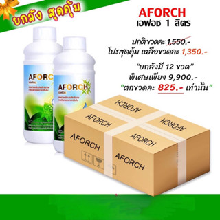 เอฟอช1,000ซีซี/ยกลัง12ขวดของแท้100%