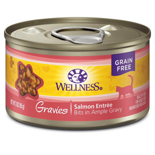 (85 g) อาหารเปียกแมวเกรวี่  รสแซลมอน Wellness Complete Health Gravies Grain Free Canned Cat Food, Salmon Entree, 3.3 Oz