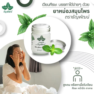 (แพ็ค 20 ขวด) ธัญพัฒน์ ครีมคลายเส้น บรรเทาปวดเมื่อย สูตรเย็นอ่อนโยน ปริมาณ 50 กรัม