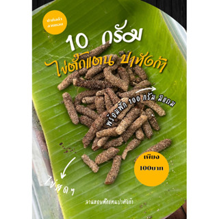 ไข่ตั๊กแตนปาทังก้าชุดทดลอง 10 กรัม