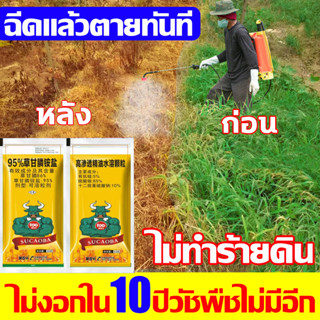 🔥ส่งในไทย🔥ยาฆ่าหญ้าออร์แกนิค สูตรOrganic ธรรมชาติ 100% ปลอดภัยไร้สารเคมี ใช้กำจัดวัชพืชทุกชนิด สารกำจัดวัชพืช